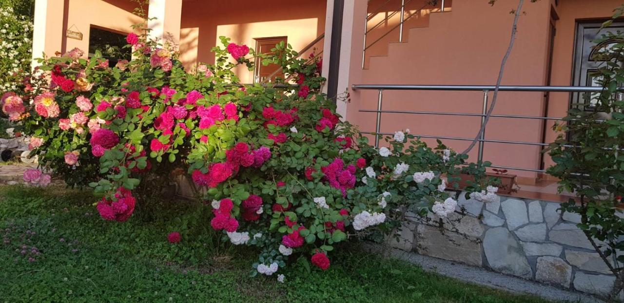 Villa Persik Utjeha-Bušat Extérieur photo